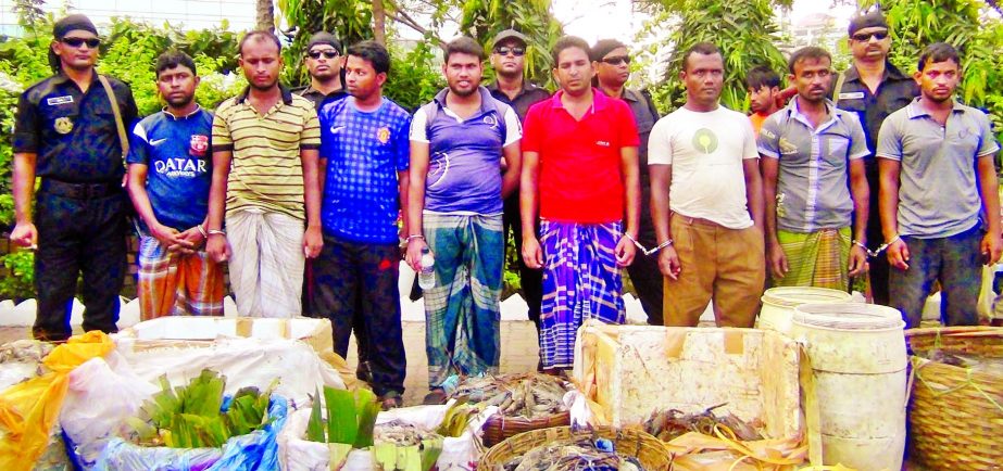 Huge jelly-mixed lobster and banned African catfish were seized by RAB-2 and arrested five people from city's Karwan Bazar on Friday.