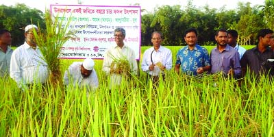 NILPHAMARI: RDRS Bangladesh organised a farmers' field day for harvesting short duration and drought tolerant variety BRRI Dhan -56 in village Babupara in Kishoreganj Upazila in Nilphamari on Sunday.