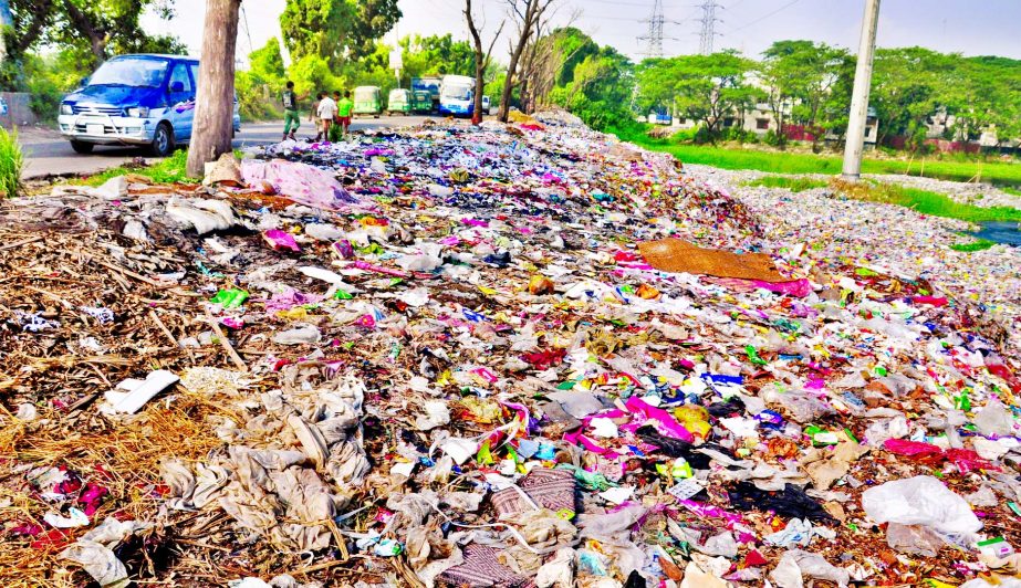 A major portion of Basail area adjacent to Dhaka-Sylhet Highway turn into a dumping zone creating environmental hazards as well as wasting the cropland and also filled up the small canals flowing near the highway. The photo was taken on Monday.
