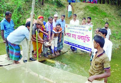 JAMALPUR: Samsunnahar Shanti, Upazila Vice Chairman, Jamalpur releasing fish fries at Melandah Upazila on Wednesday. .