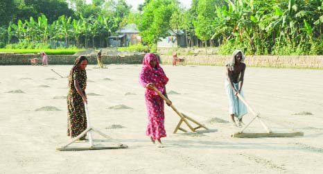 BOGRA: Workers are busy in preparation of land for making bricks. This picture was taken from Sujabad area in Bogra on Saturday.