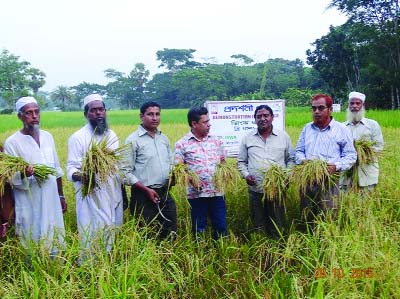 BETAGI(Barguna): A field day of harvesting of Zink- enriched BRRI dhan 62 was held at Bibichini Union organied by NGO Iswa supported by Harvest Plus Bangladesh recently.