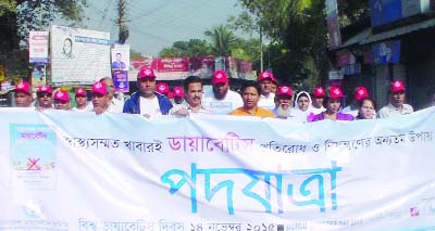 KISHOREGANJ: GSM Zafarullah, DC Kishoreganj led a colourful rally marking the World Diabetic Day organised by Kishoreganj Diabetic Association on Saturday.