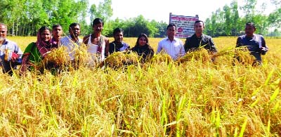 LALMONIRHAT: RDRS Bangladesh organised a Farmers' Field Day for harvesting flood-tolerance BRRI dhan52 in the field of farmer Nanda Lal at village Dakshin Raipur under Lalmonirhat Sadar Upazila on Tuesday.