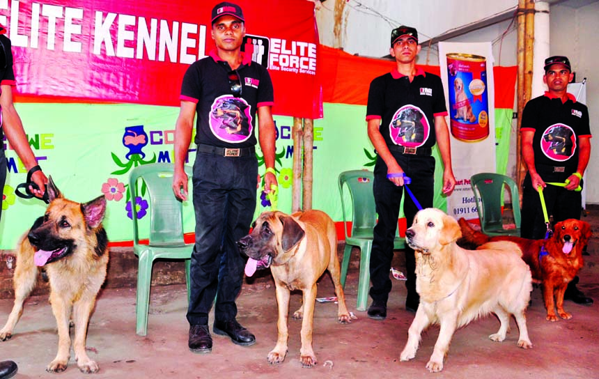 National Salvation Movement organized an exhibition of pet dogs at the Jatiya Press Club in the city on Thursday.