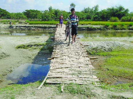 KISHOREGANJ (Nilphamari): A pucca bridge is immediately needed over Kura Canal instead of bamboo one at Ismail village in Kishoreganj Upazila of the district. This picture was taken on Friday.