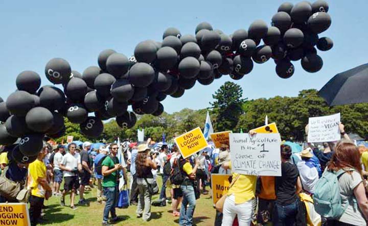 Black balloons float in the air during a rally calling for action on climate change in Sydney on Sunday.