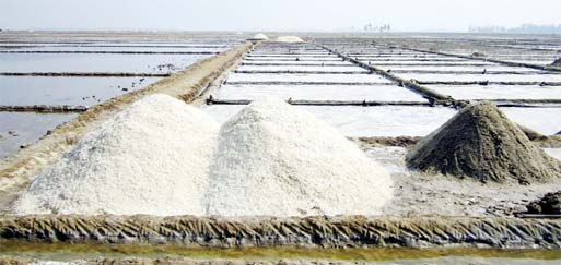 Salt cultivation has increased to a great extent on different upazilas in Cox's Bazar this season. Photo: Banglar Chokh