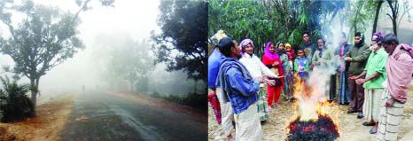 SAPAHAR(Naogaon): Common people warming themselves by burnig straws due to sudden cold. This picture was taken from Sapahar Upazila on Sunday.