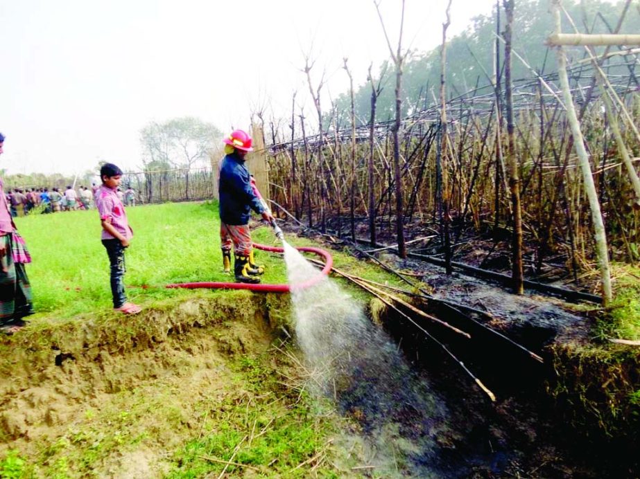 JHENIDAH: Fire fighters of Fire Service and Civil Defense Station of Kaliganj are trying to douse fire of betel leaf garden in Kaliganj Upazila yesterday.