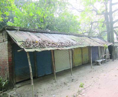 JHENAIDAH: A view of Ziala Government Primary School in Jhenaidah Sadar Upazila.