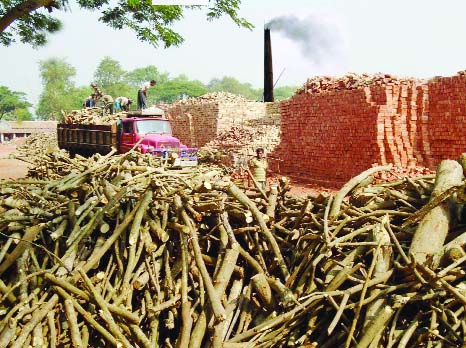 KHULNA: A view of a brickfield in Dumuria Upazila.