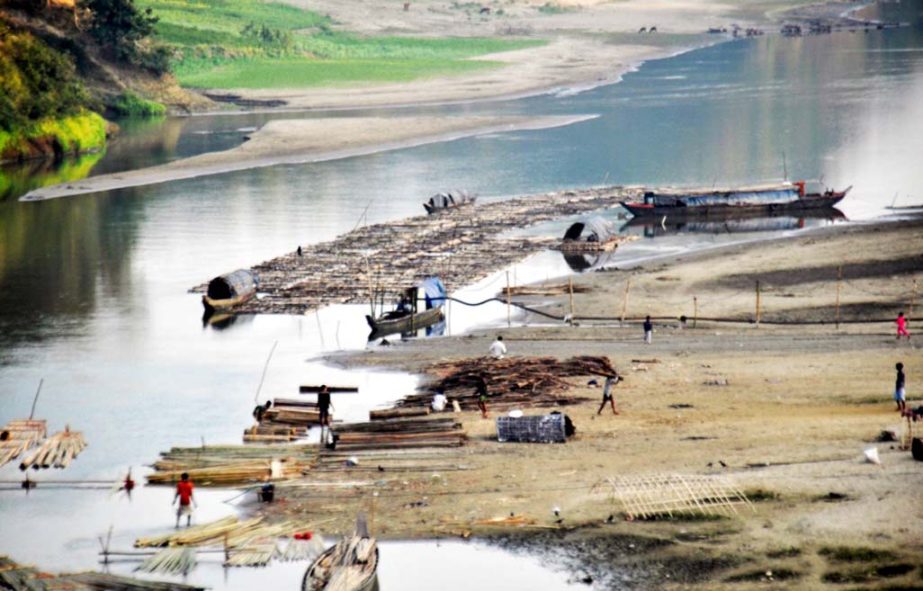 Illegal felling of trees is going on in Bandarban and these are being smuggled through Sangu River . This picture was taken on Friday.