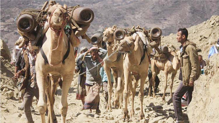 Smugglers carry oxygen cylinders on their camels' backs on a road cutting through the mountains.