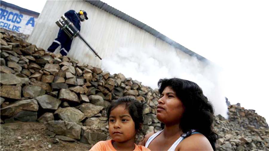 WHO estimates there could be up to four million cases of Zika in the Americas in the next year.