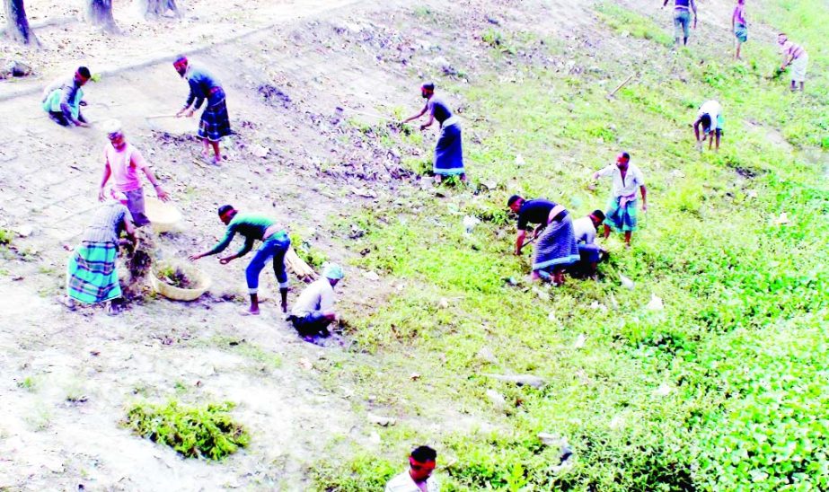 GOPALGANJ: Gopalganj Pourashava has lasunched a cleanness drive in the lake and suddrening areas of dead Modhumoti River yesterday.