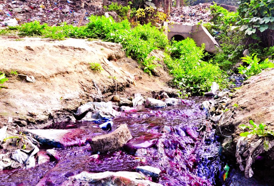 Poisonous chemical waste from different factories located on the banks of Sitalakkhya seen flowing into the river causing destruction of fishes and environment all over. This photo was taken from Rupganj area on Thursday.