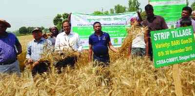 DINAJPUR: Dinajpur Hub of CIMMYT organised a farmers' field day on Strip Tillage Wheat Production using PTOS Machine on the wheat field of farmer Chitta Mohan in village Sundarban in Dinajpur Sadar Upazila on Wednesday.