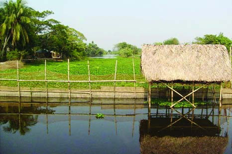 KHULNA: Influential people cultivating fish by encroaching Gagona River in Dumuria Upazila in Khulna district.