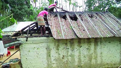 MOULVIBAZAR: Tea workers at Karamot Nagar Tea garden are repairing roofs of their houses damaged by Nor'wester that lashed Moulvibazar on Friday.