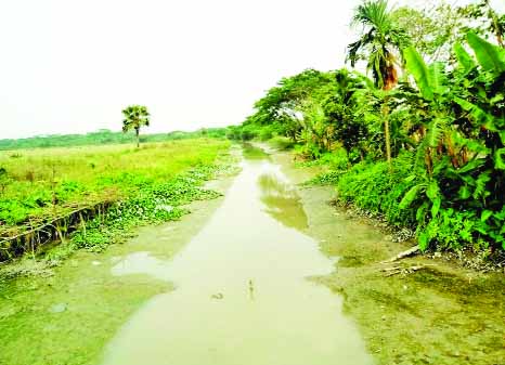 JHALAKATHI: Dhansiri River has turned into a dead canal due to lack of dredging. This picture was taken from Purbo- Poschim Indropasha School area on Wednesday.