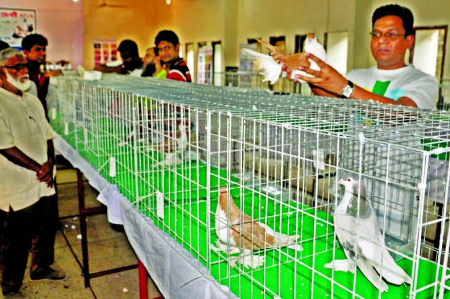 Visitors at the pigeons exhibition organized by Bangladesh Fancy Pigeon Readers Association at Jatiya Press Club on Thursday.