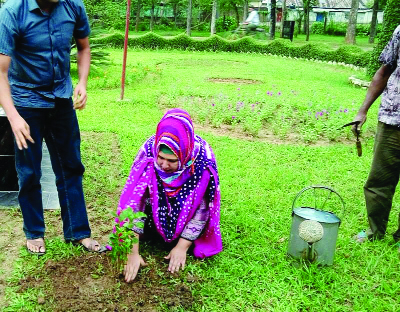RAJSHAHI: Chairman of Jago Bangla Group of Companies Auronna Huq planting a sapling in Rajshahi Golf Club premises as a part of plantation drive recently.