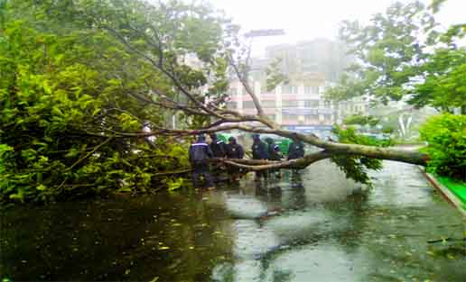 A big tree that fell on the main road in front of Circuit House in Port city, caused by cyclone 'Roamu' which swamps Chittagong coastal area on Saturday. Firefighters trying to remove it. No casualties is being reported.