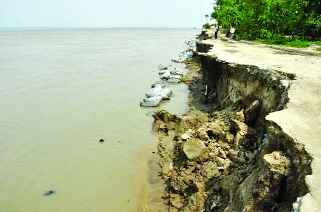 BOGRA: Jamuna River erosion has taken a serious turn at Royadah area in Sariakandi Upazila on Wednesday.