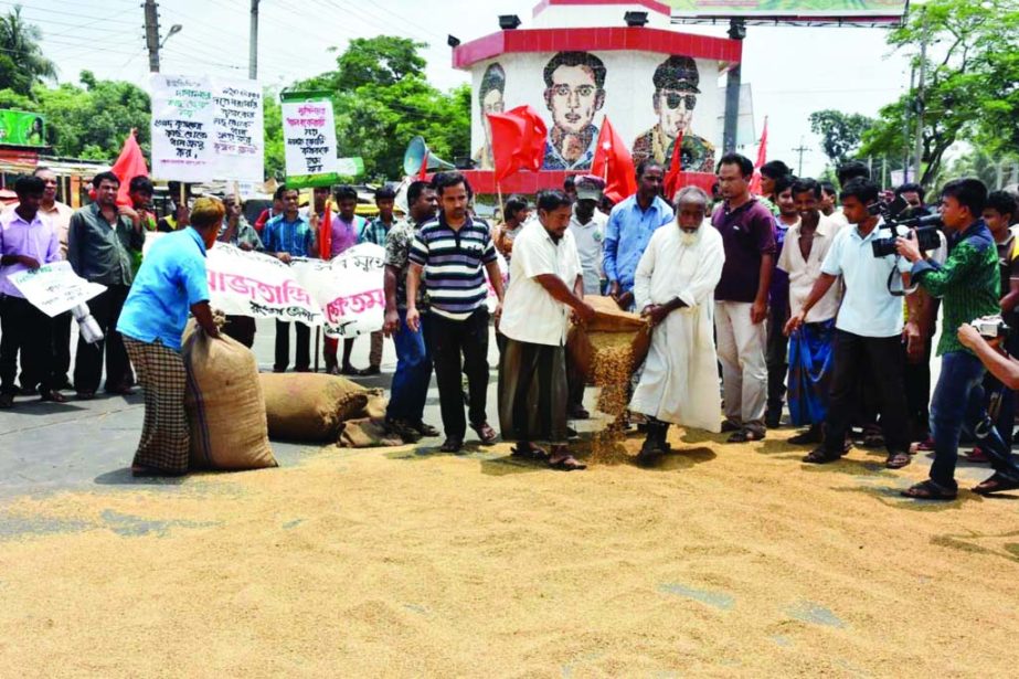 RANGPUR: Farmers in Rangpur demonstrating by putting paddy on Rangpur- Kurigram road at Sathmatha area demanding purchasing of paddy directly from them organised by Samajtantrik Khetmazoor, Bangladesh Krishok Samity and Krishok Front, Rangpur Dist