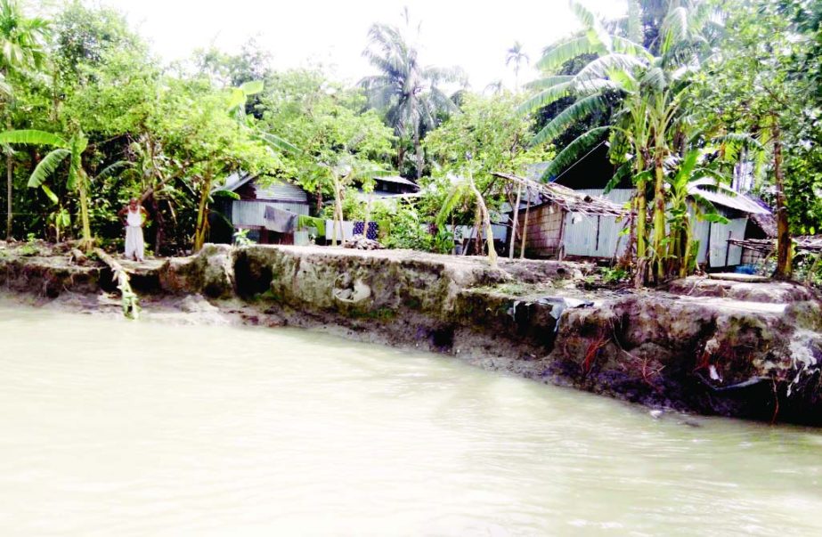 BARISAL: The erosion of the River Sandha has taken a serious turn at Banaripara point in Barisal. This picture was taken from Nazirpur village on Wednesday.