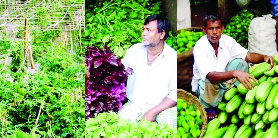 RANGPUR: Farmers achieved bumper summer vegetable production in Rangpur Agriculture Zone this season .