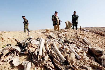 Bones, suspected to belong to members of Iraq's Yazidi community, are seen in a mass grave on the outskirts of the town of Sinjar.