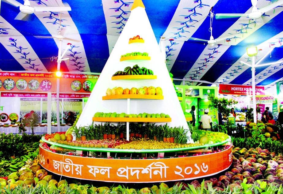 Agriculture Extension Directorate launched a three-day long National Fruits Festival at its office in Khamar Bari on Thursday.