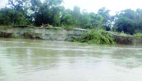 GAIBANDHA: Tista River erosion has taken a serious turn at Sundorganj Upazila and devoured hundreds of houses due to heavy downpour. This picture was taken on Sunday.