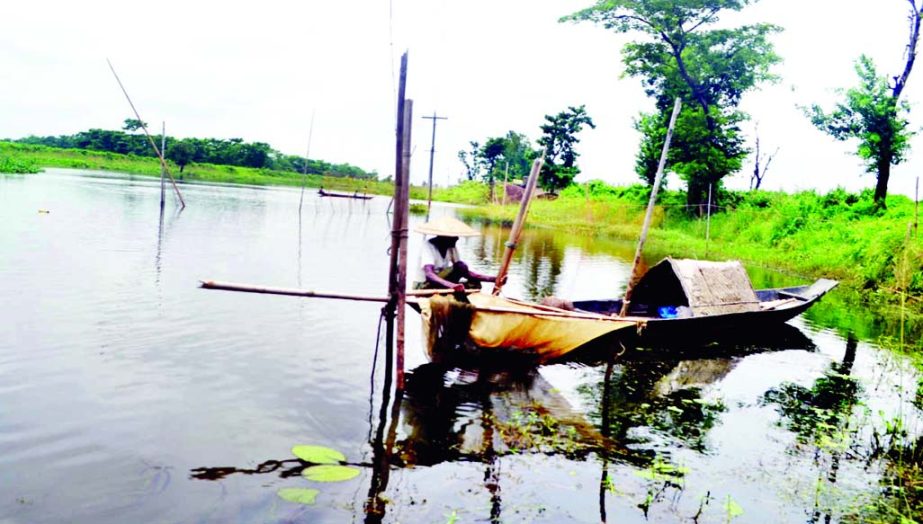 SYLHET: Fishermen are passing busy time at South Surma Upazila as canal, ponds and rivers are full of water in the rainy season. This picture was taken from Naikhai Melukar Haor area yesterday.