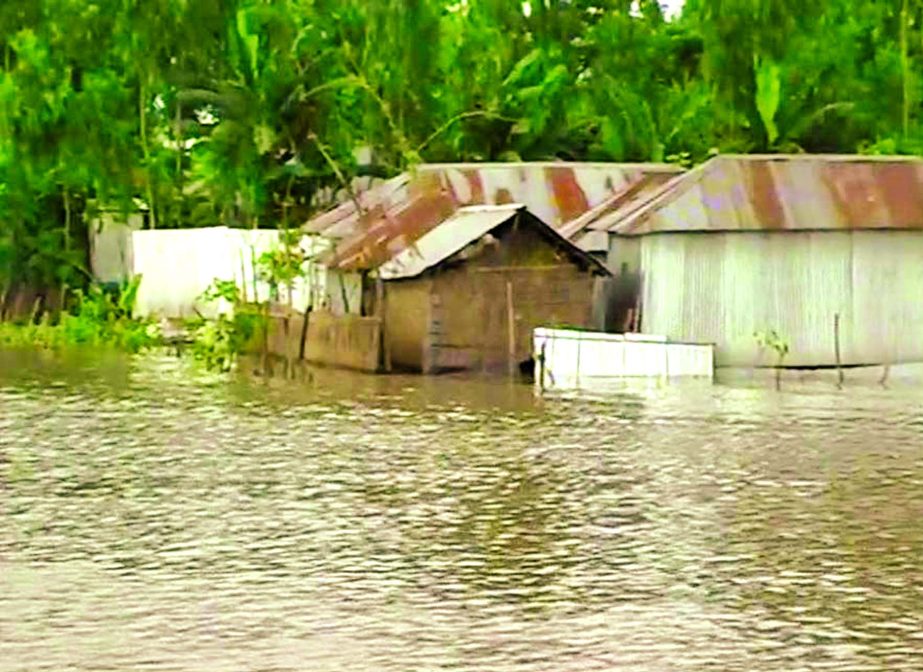 About 60,000 people marooned due to on-rush of water from upstream: Photo shows a flood affected house at Jatrapur area under Kurigram Sadar Upazila.