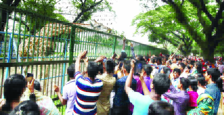 City dwellers thronged the National Zoo at Mirpur in the city after Eid yesterday.