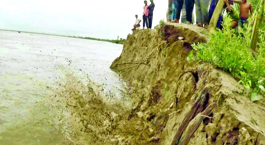 Brahmaputra and Dharla river erosions took serious turns as flood waters devoured about 500 houses, crop lands in Gaibandha. Thousands of people also facing acute food crisis and drinking water. This photo was taken on Tuesday from Sagata upazila.