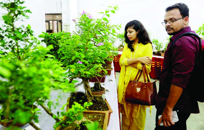 Visitors at the week-long exhibition of different species of 'Bonsai' organised at Dhaka University on Wednesday.