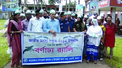 BETAGI(Barguna): A rally was brought out in Betagi Upazila to mark the National Fisheries Week organised by Upazila Administration and Upazila Fisheries Directorate on Tuesday.
