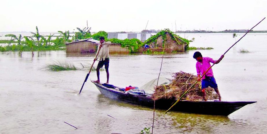 About 75000 people of 250 villages in Kurigram being marooned as flood situation continues to worsen with all the rivers still swelling. This photo was taken on Friday.