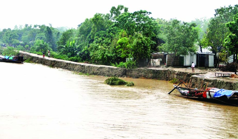 Dwelling houses, roads and highways are going under water as Padma river erosion takes serious turn. The snap was taken from Daulatdia on Saturday.