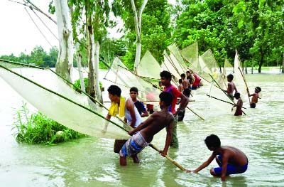 BOGRA: Boys are enjoying fishing in Bogra as most of the low-lying areas have been under water due to flood. This picture was taken from Gosairbarir Doripara area in Dhunot Upazila on Sunday.