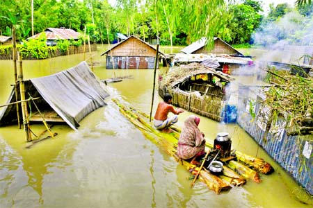 Photo of Kurigram's Chilmari Upazila shows that vast areas of croplands along with almost all tin shed houses submerged causing untold crises of food and drinking water. A woman is seen cooking rice on a banana raft on Wednesday.