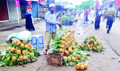 SYLHET: Pineapple traders in Sylhet passing busy time as the district has achieved bumper production of the fruit. This picture was taken from South Point of Kin-bridge yesterday.