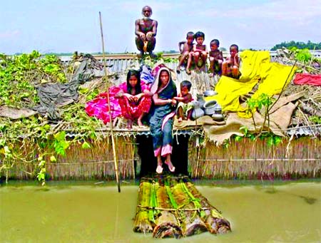 Flood situation in Kurigram and other districts have taken a serious turn as major rivers swelling due to onrush of hilly waters. Photo shows a family taken shelter on the rooftop of inundated tinshed house. Flood affected People in the water with banana