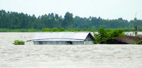 KURIGRAM: Al most all areas are drowned at Jatrapur in Kurigram Sadar Upazila. This snap was taken on Friday.
