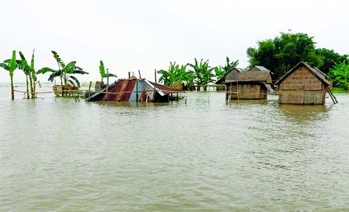 Fresh areas in Syedpur's Jajira Upazila were engulfed by the onrush of flood waters rendering lakhs of people homeless. This photo was taken on Saturday.