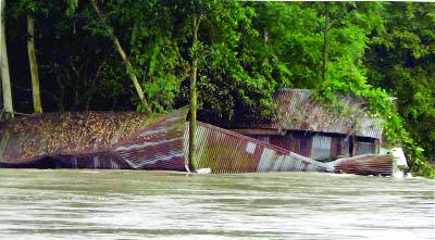 GAIBANDHA: Houses are totally submerged at Singriya area in Fulchhari Upazila as breaches have been developed in Brahmanputra Embankment. This picture was taken on Saturday.